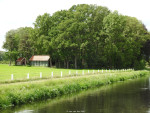 Bornsebeek